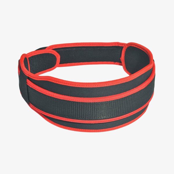 Gym Belts